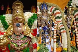 மதுரை மீனாட்சி திருக்கல்யாணம்